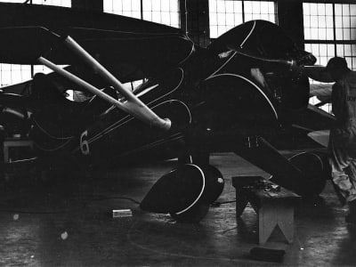 Hall Bulldog at Cleveland OH with group, right front view